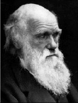 Charles Robert Darwin