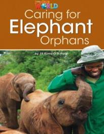 OUR WORLD 3: CARING FOR ELEPHANT ORPHANS - AME