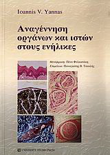 Αναγέννηση οργάνων και ιστών στους ενήλικες