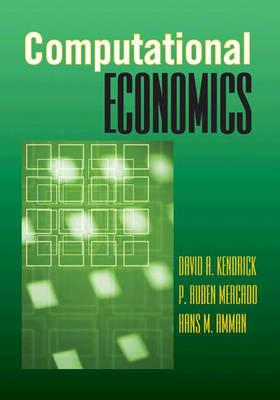 COMPUTATIONAL ECONOMICS Paperback