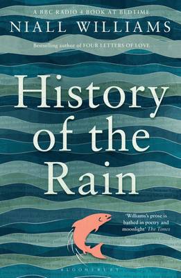 HISTORY OF THE RAIN Paperback C FORMAT