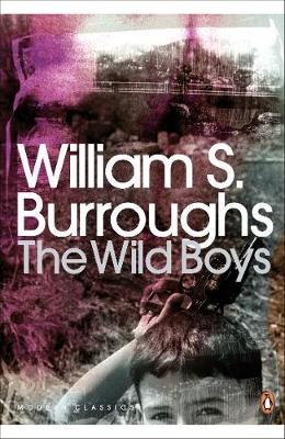 PENGUIN MODERN CLASSICS : THE WILD BOYS Paperback B FORMAT