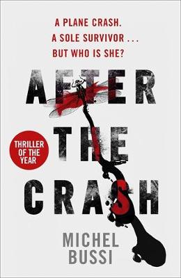 AFTER THE CRASH Paperback