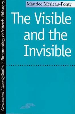 VISIBLE & THE INVISIBLE  Paperback