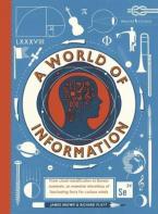 A WORLD OF INFORMATION  Paperback