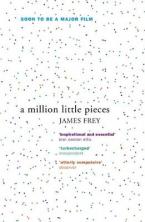 A MILLION LITTLE PIECES Paperback