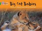 COLLINS BIG CAT : BIG CAT BABIES BAND 05/GREEN PB