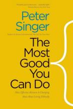 THE MOST GOOD YOU CAN DO  Paperback