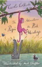 THE ADVENTURES OF PIPI THE MONKEY  Paperback