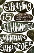 EVERYTHING IS ILLUMINATED Paperback B FORMAT