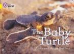 COLLINS BIG CAT : THE BABY TURTLE BAND 03/YELLOW PB