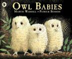 OWL BABIES  Paperback