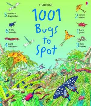 USBORNE : 1001 BUGS TO SPOT HC