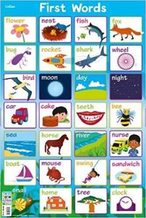 First Phonics (Collins Children’s Poster)