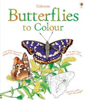 BUTTERFLIES COLOURING BOOK Paperback