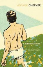 COLLECTED STORIES  Paperback