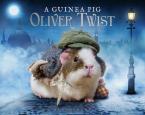 OLIVER TWIST  HC