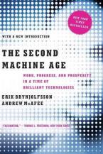 SECOND MACHINE AGE  Paperback