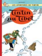 LES AVENTURES DE TINTIN 20: TINTIN AU TIBET HC