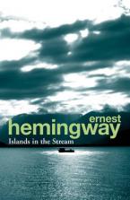 ISLANDS IN THE STREAM  Paperback