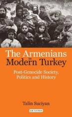 ARMENIANS IN MODERN TURKEY Paperback