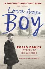 LOVE FROM BOY: ROALD DAHL'S LETTERS TO HIS MOTHER  Paperback