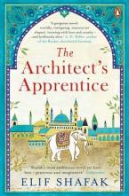 THE ARCHITECT'S APPRENTICE Paperback B FORMAT