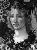 BOTTICELLI  HC