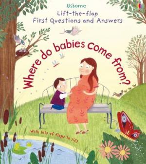 LIFT THE FLAP FIRST QUESTIONS AND ANSWERS : WHERE DO BABIES COME FROM? Paperback