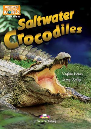 DAW : SALTWATER CROCODILES (+ Cross-platform Application)