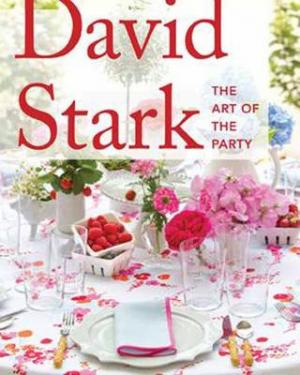 DAVID STARK : ART OF THE PARTY Paperback