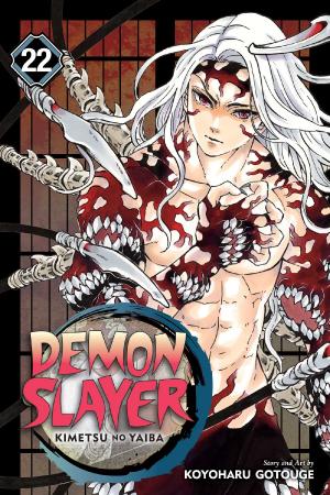 DEMON SLAYER V22 PA