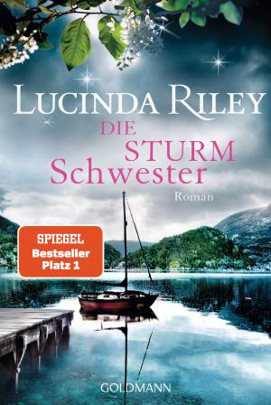 DIE STURMSCHWESTER Paperback