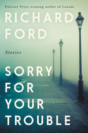 SORRY FOR YOUR TROUBLE Paperback