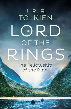 THE LORD OF THE RINGS (1) — THE FELLOWSHIP OF THE RING