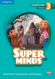 SUPER MINDS 3 FLASHCARDS 2ND ED