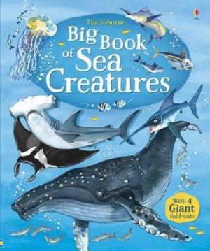 BIG BOOK OF SEA CREATURES