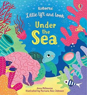 LITTLE LIFT AND LOOK UNDER THE SEA Paperback