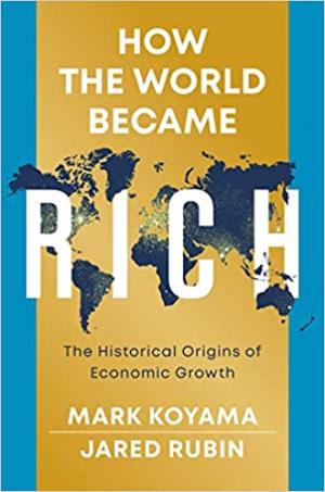 HOW THE WORLD BECAME RICH : THE HISTORICAL ORIGINS OF ECONOMUIC GROWTH Paperback