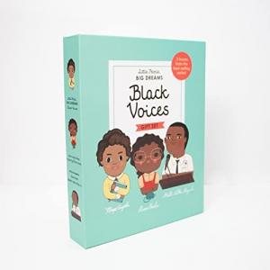 LITTLE PEOPLE,BIG DREAMS : BLACK VOICES HC BOX SET