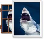 Michael Muller. Sharks, Art Edition No. 1-100 'Tear You Apart'