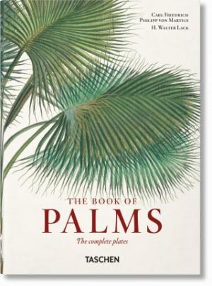 TASCHEN 40th EDITION : Martius. The Book of Palms. 40th Ed.