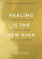 HEALING IS THE NEW HIGH Paperback