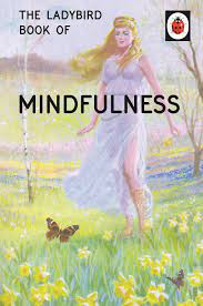 LADYBIRD FOR GROWN-UPS : THE LADYBIRD BOOK OF MINDFULNESS HC