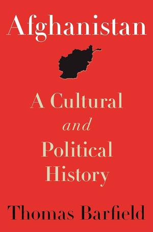 AFGHANISTAN  : A CULTURAL AND POLITICAL HISTORY Paperback