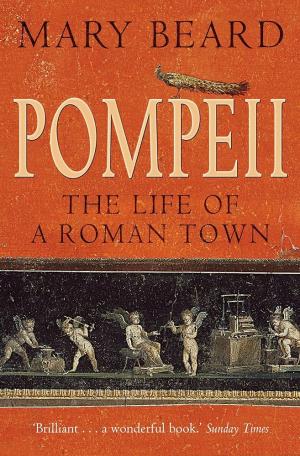 Pompeii : The Life of a Roman Town