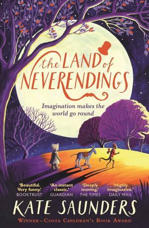 THE LAND OF NEVERENDINGS Paperback