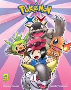 POKEMON X Y 03  PA