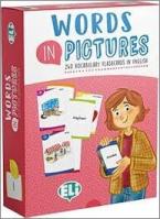 WORDS IN PICTURES FLASHCARDS PRINTED SET + DIGITAL VERSION AND ELILINK