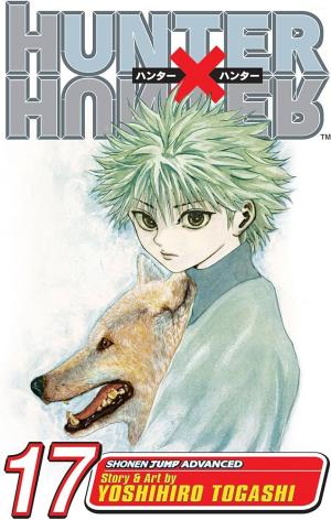 HUNTER X HUNTER, VOL. 17 PA